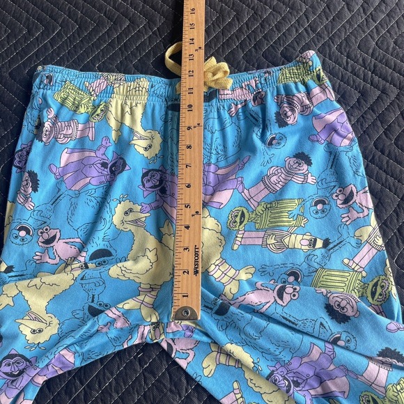 Sesame Street Pants Mens Small Blue Pull On Drawstring Sleep Lounge Big Bird - Picture 7 of 9